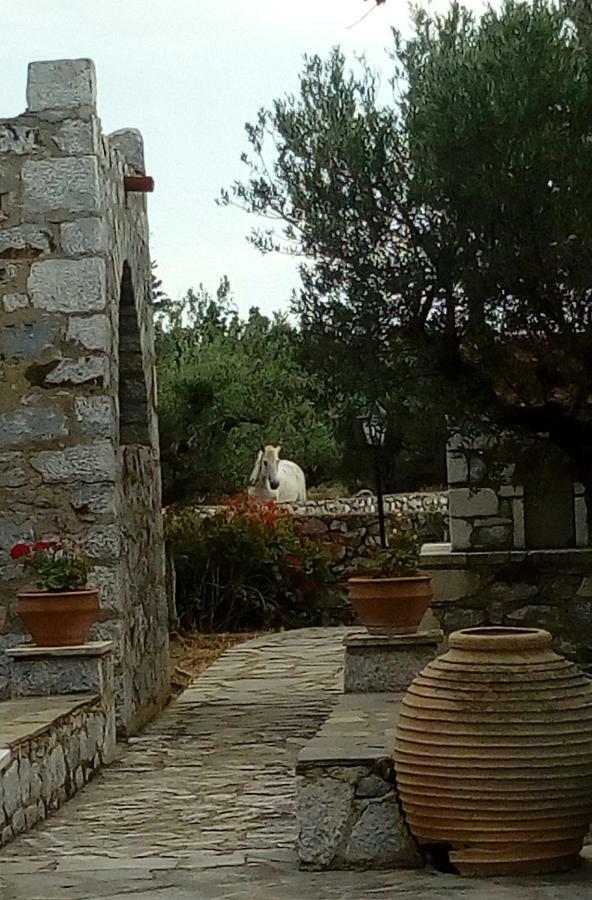 Pírgos DhiroúCharouda Stone Tower公寓 外观 照片